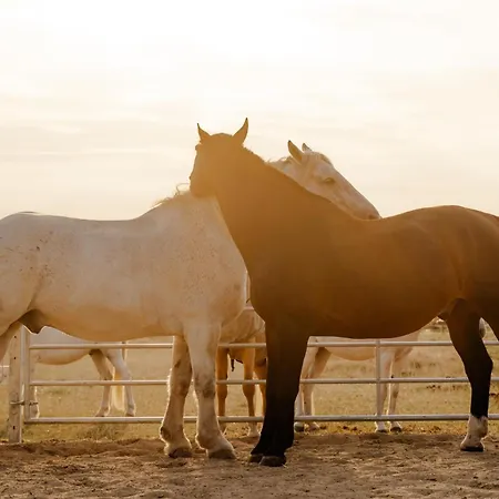 Reethaus 3a * Staberdorf