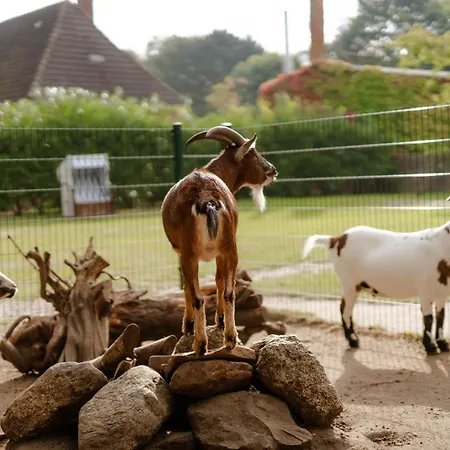 Reethaus 3a Staberdorf