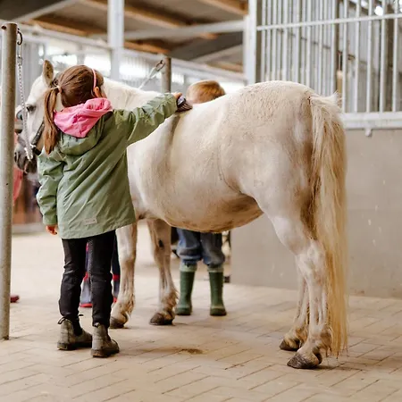 Reethaus 3a * Staberdorf