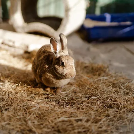 Reethaus 3a Σπίτι διακοπών *